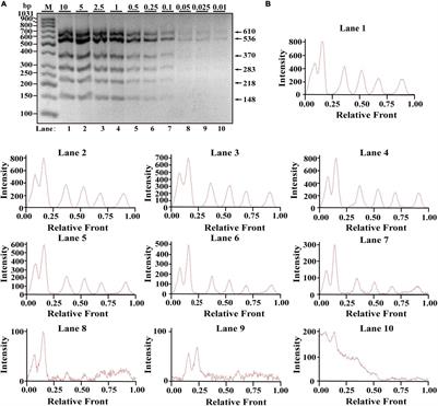 Molecular Authentication of Twelve Meat Species Through a Promising Two-Tube Hexaplex Polymerase Chain Reaction Technique